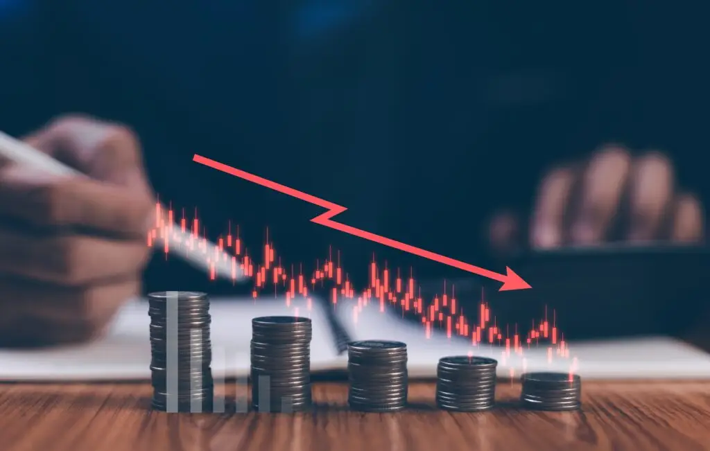 Veterinary Profit Loss and Finances