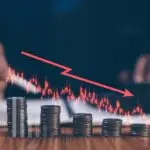 Veterinary Profit Loss and Finances